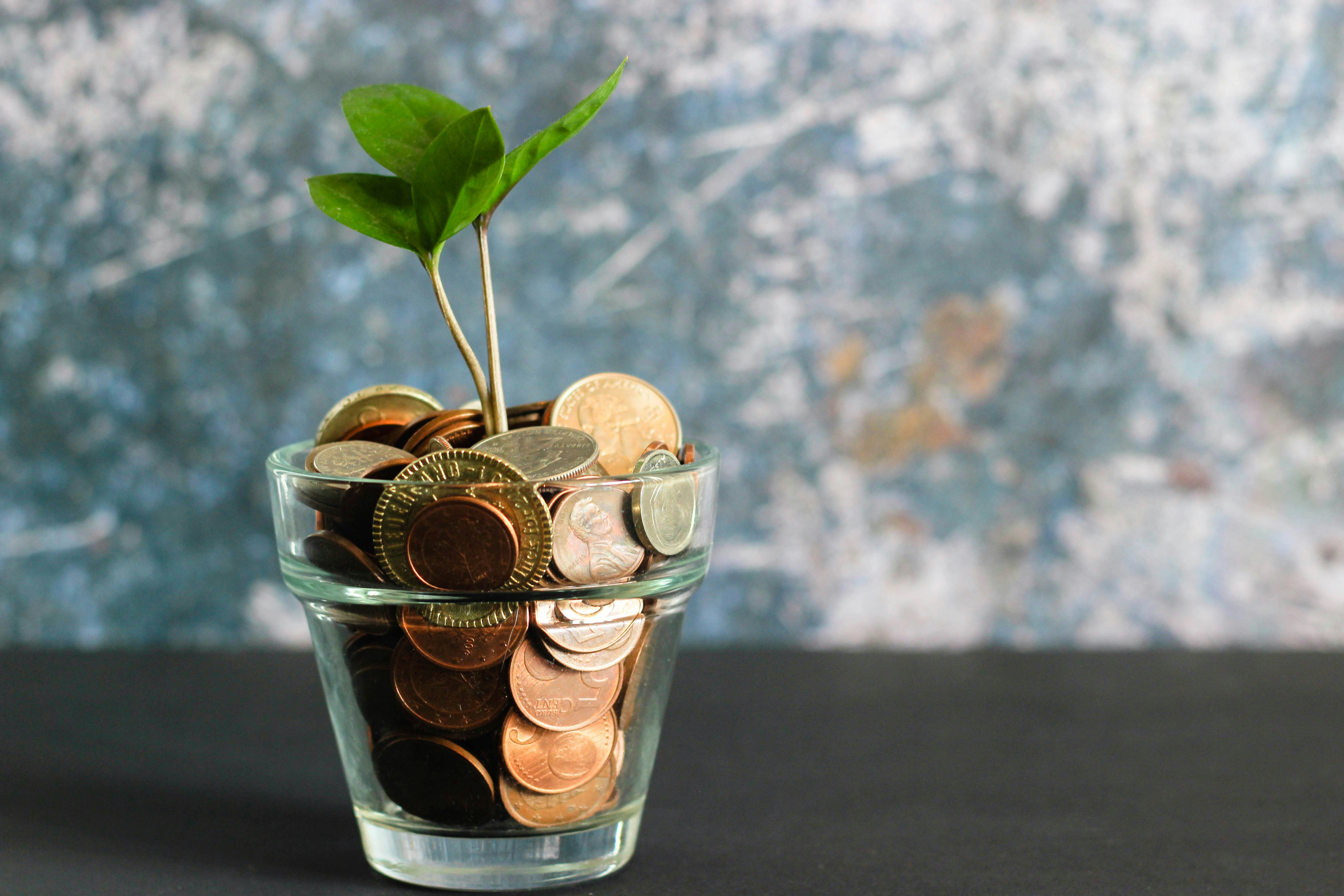 The Rise of Cryptocurrency: Bubble or the Future of Finance?
