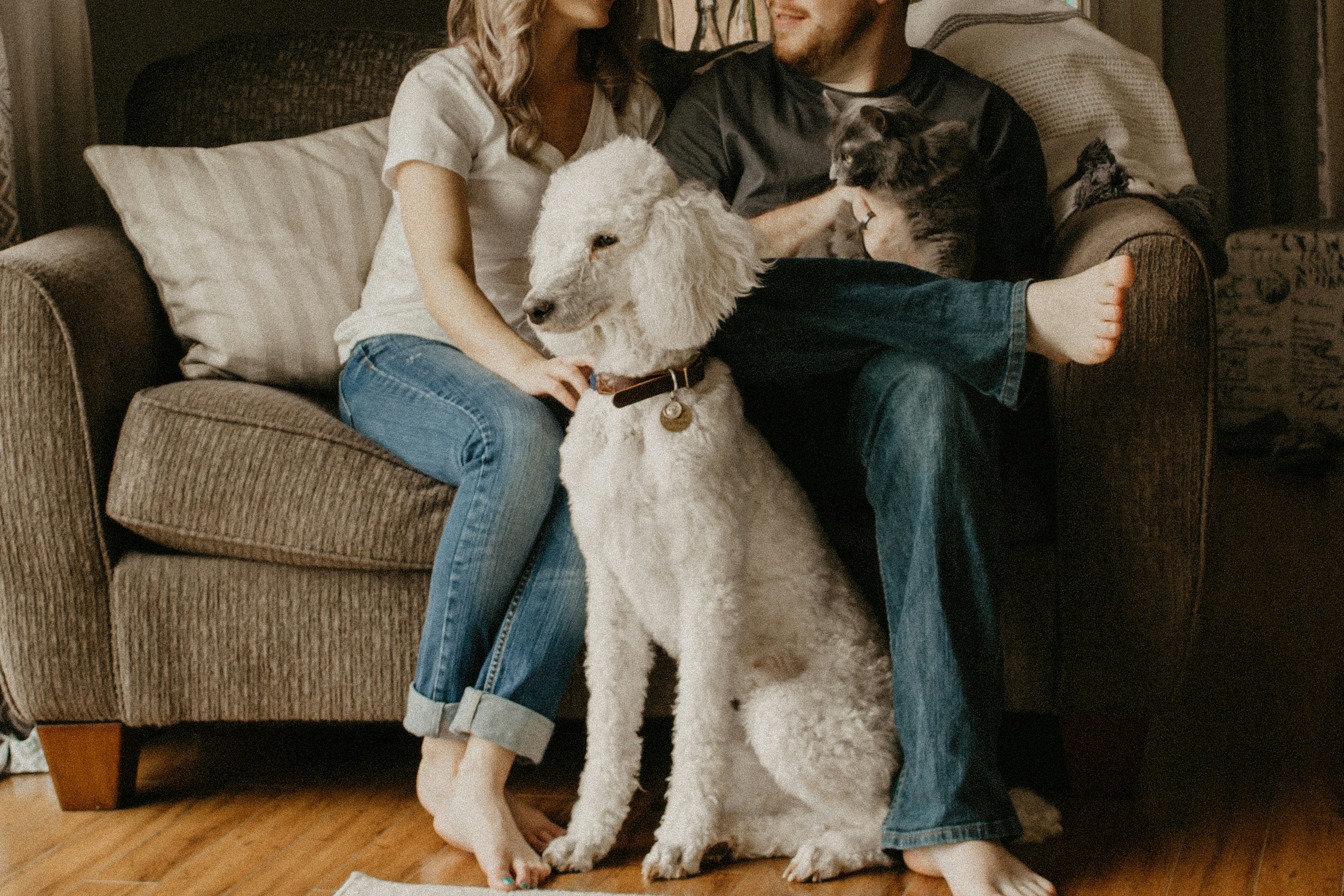From Pets to Family Members: The Rising Pet Economy in China