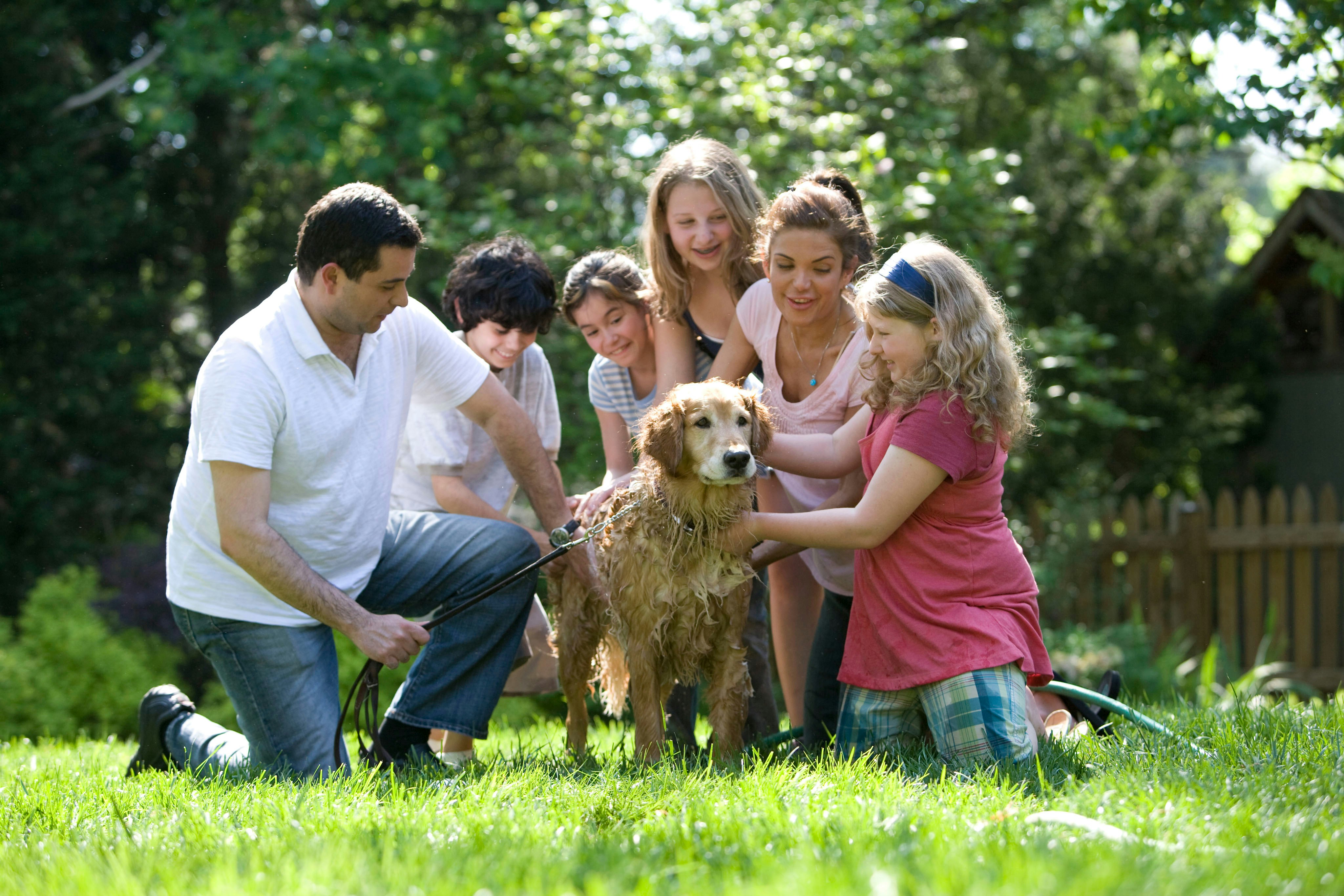 The Surprising Cognitive Benefits of Owning Pets