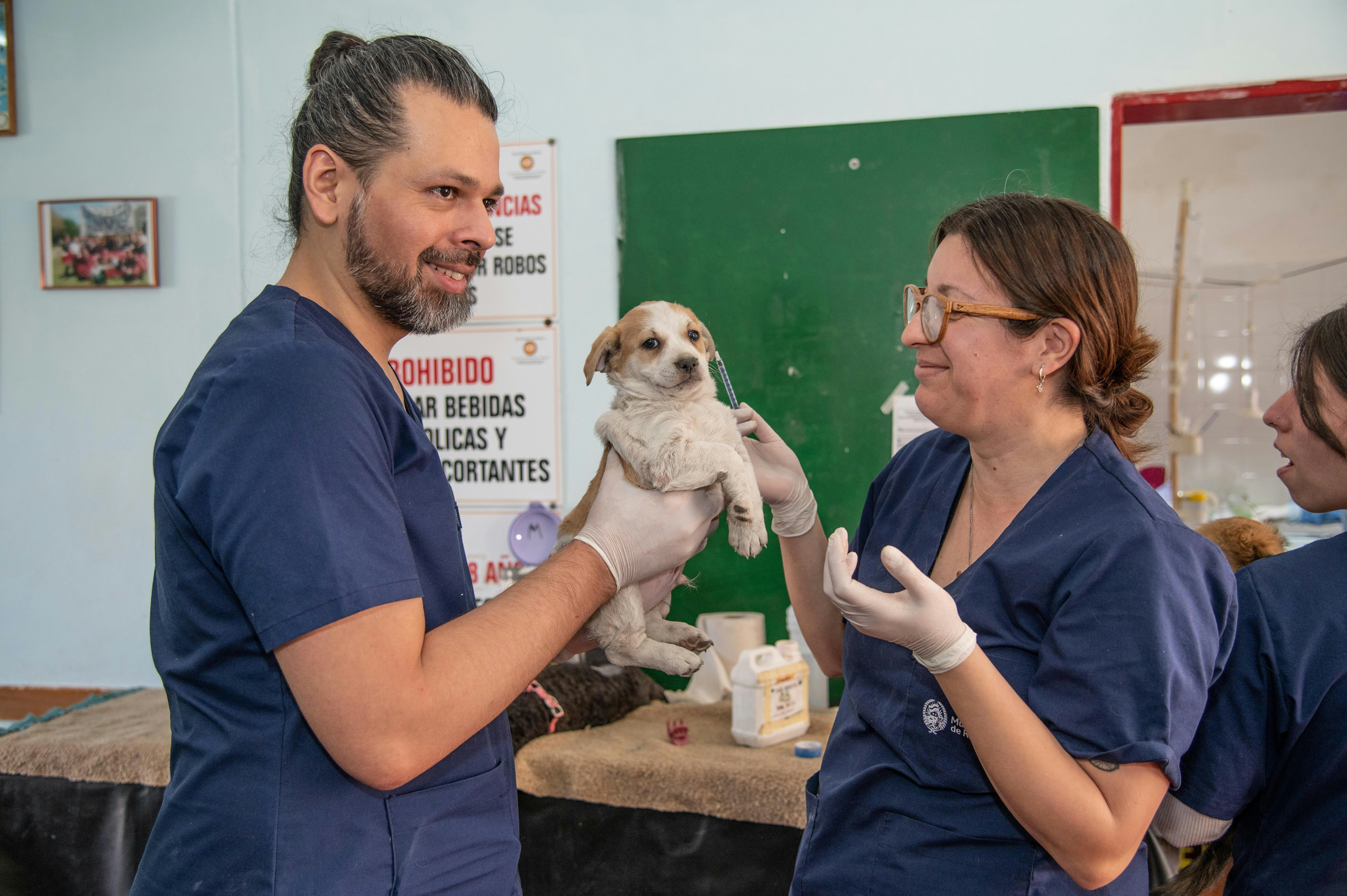 The Future of Veterinary Medicine: How Technology Is Changing Pet Healthcare